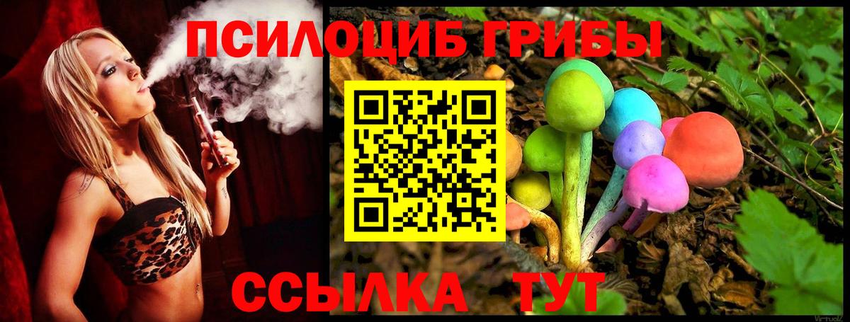 Псилоцибиновые грибы Cubensis  Вход с VPN  Бердск 